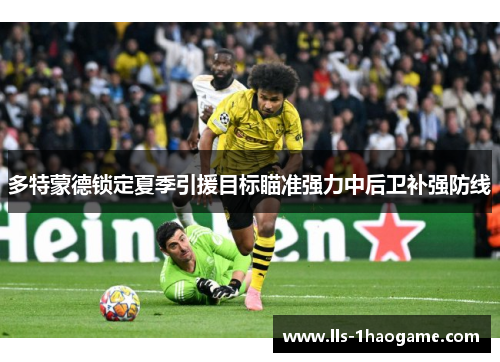 多特蒙德锁定夏季引援目标瞄准强力中后卫补强防线